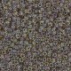 Miyuki seed beads 11/0 - Fancy lined sand 11-3645